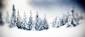 god jul lekplatskonsulten konstgräskonsulten