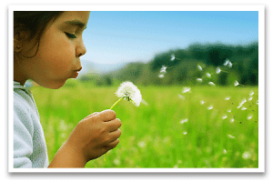 eccgrass återvunnet konstgräs